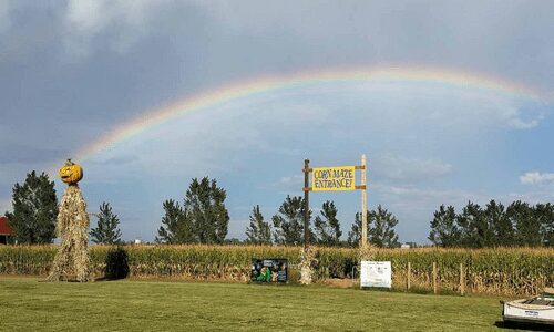 Anderson Farms