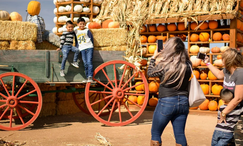 Fritzler Farm Park