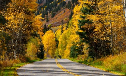 Best Places to See Fall Colors in Colorado