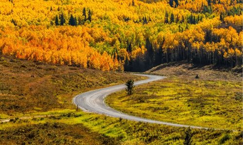 Steamboat Springs