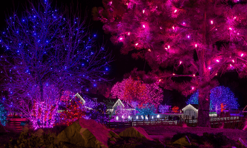 blossoms of lights denver