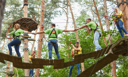 Team building Ropes Course