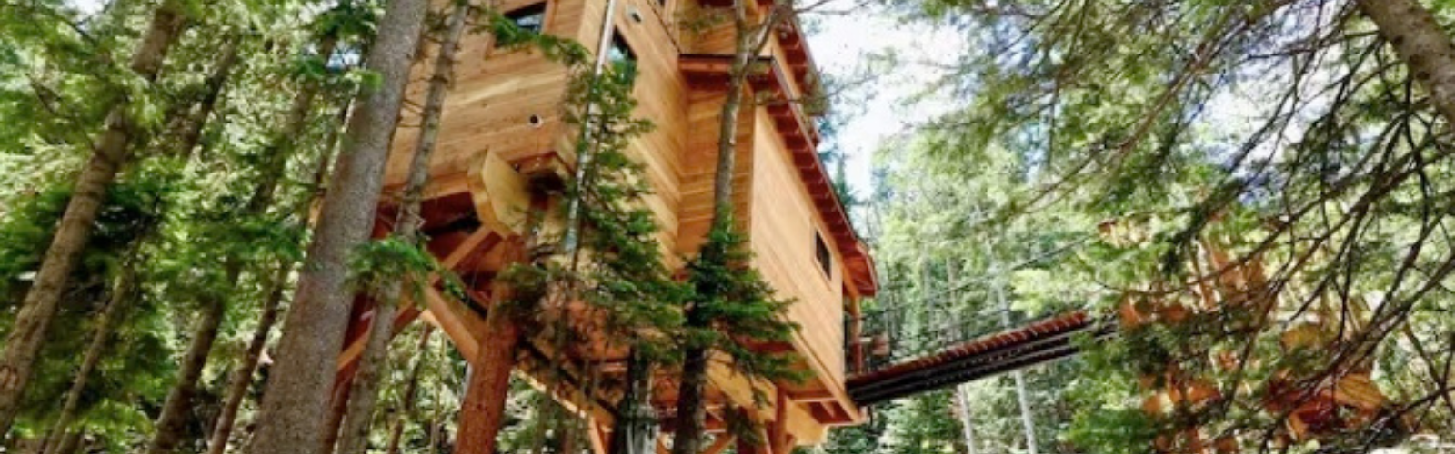 Black Hawk Treehouse